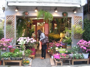 「神宮ガーデン」　（東京都渋谷区）の花屋店舗写真1