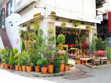 「神宮ガーデン」　（東京都渋谷区）の花屋店舗写真2